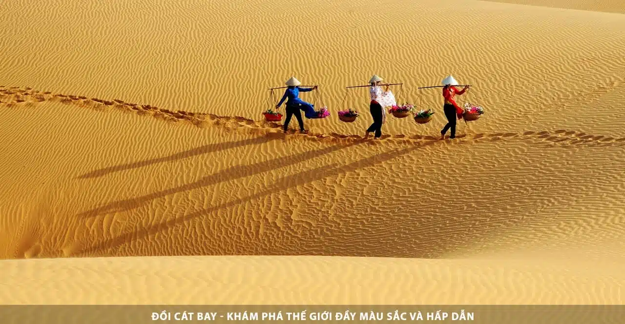 Đồi cát bay - Khám phá thế giới đầy màu sắc và hấp dẫn