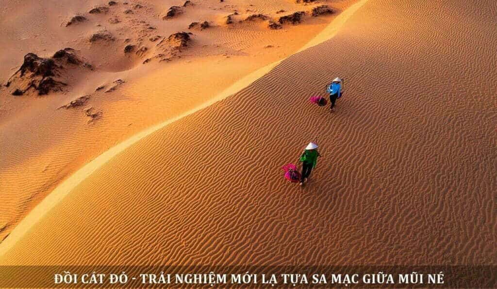 Đồi Cát Đỏ - Trải Nghiệm Mới Lạ Tựa Sa Mạc Giữa Mũi Né