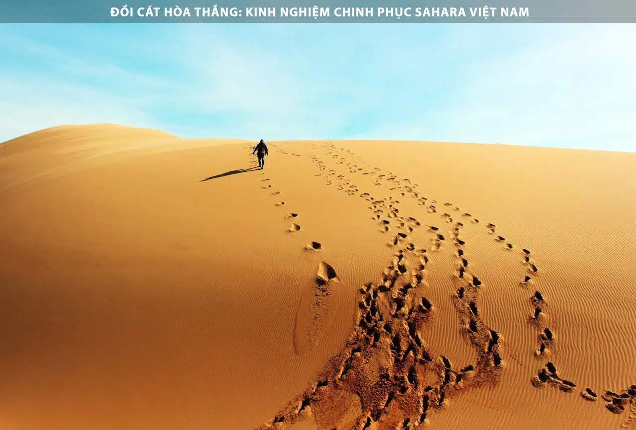 Đồi Cát Hòa Thắng: Kinh Nghiệm Chinh Phục Sahara Việt Nam