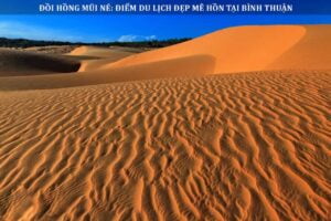 Đồi Hồng Mũi Né: Điểm du lịch đẹp mê hồn tại Bình Thuận