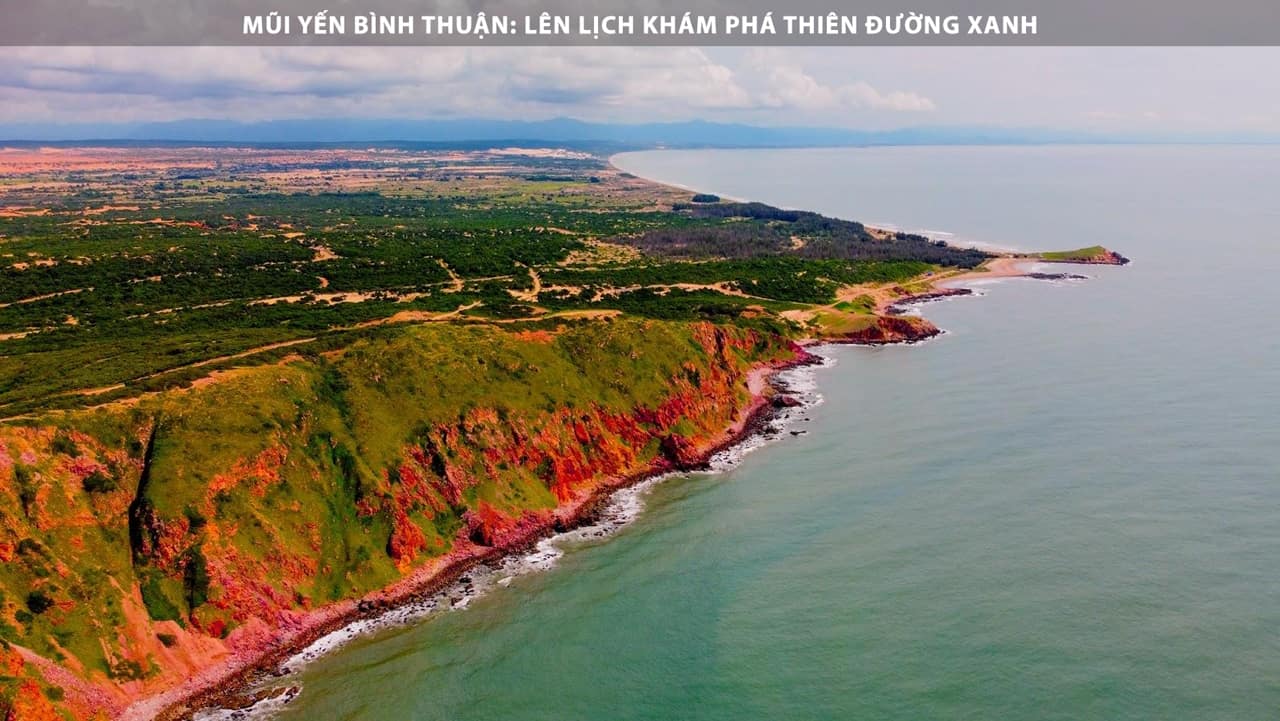 Mũi Yến Bình Thuận: Lên Lịch Khám Phá Thiên Đường Xanh