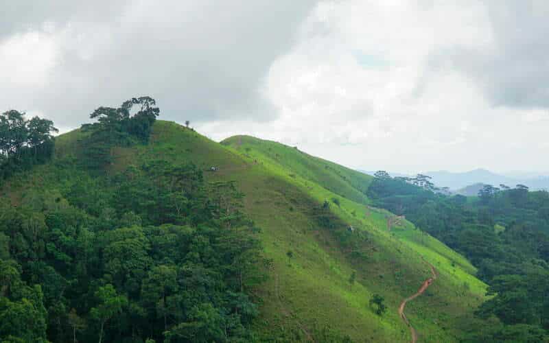 Cung-đường-Tà-Năng-Phan-Dũng-vào-mùa-cỏ-xanh