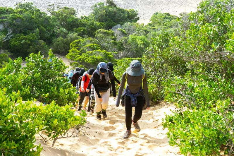 Trekking qua cung rừng bụi thấp - Cung Trekking Cực Đông