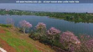 Hồ Nam Phương Bảo Lộc - Vẻ Đẹp Thanh Bình Chốn Thần Tiên
