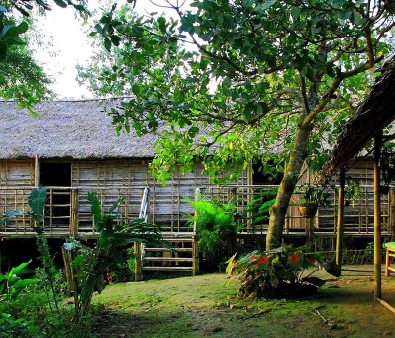 Những ngôi nhà được thiết kế theo kiến trúc nguyên bản của nhà dài