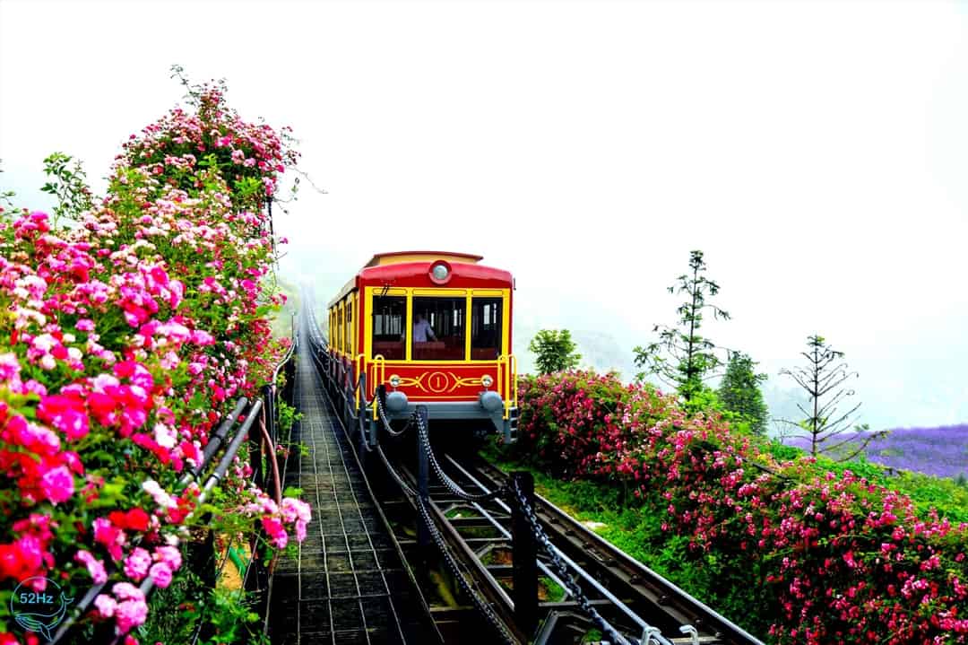 Tuyến tàu hỏa leo núi Mường Hoa nối liền thị trấn Sa Pa với ga đi cáp treo Fansipan