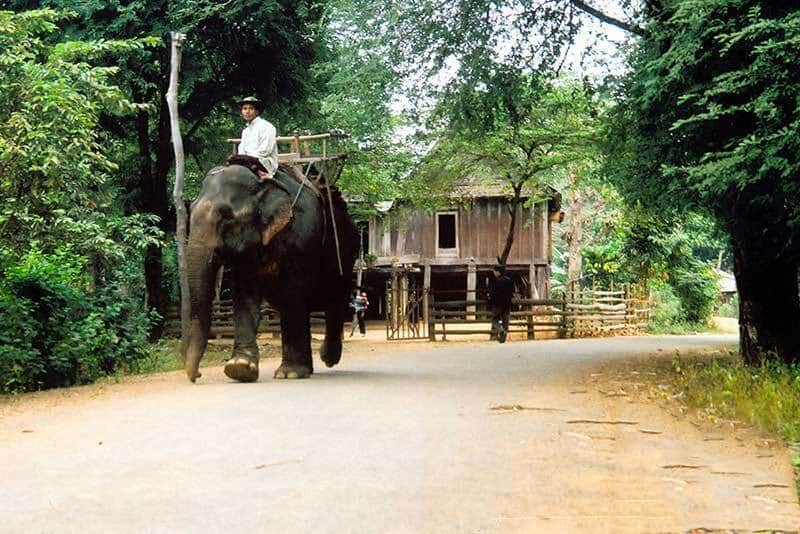 Từ Buôn Đôn du khách có thể khám phá một phần vườn quốc gia Yok Đôn.