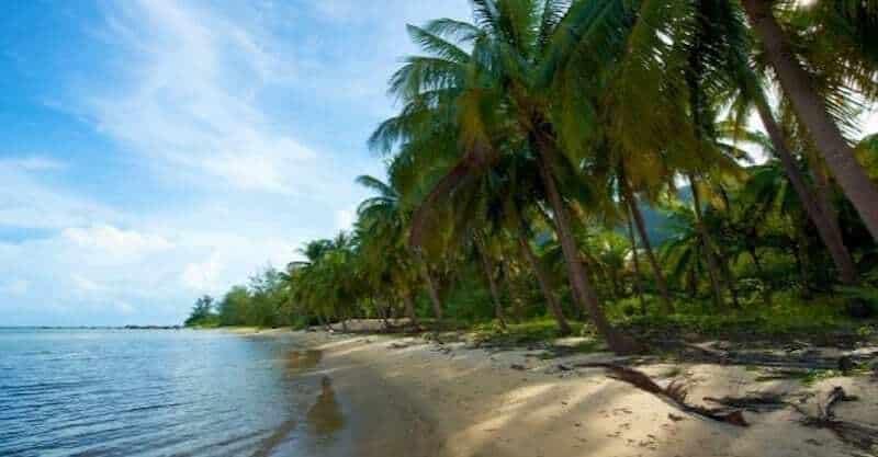 Bãi biển sở hữu vẻ đẹp nên thơ cùng hàng dừa xanh