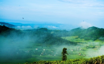 Khám Phá Cao Nguyên Vân Hoà “Đà Lạt Thu Nhỏ Của Xứ Nẫu”