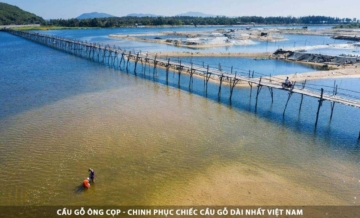 Cầu Gỗ Ông Cọp - Chinh Phục Chiếc Cầu Gỗ Dài Nhất Việt Nam