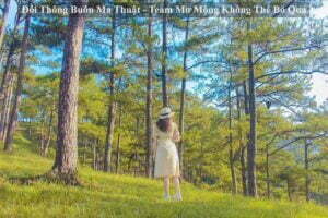 Đồi Thông Buôn Ma Thuật - Team Mơ Mộng Không Thể Bỏ Qua