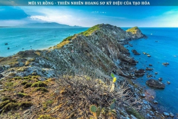 Mũi Vi Rồng - Thiên Nhiên Hoang Sơ Kỳ Diệu Của Tạo Hóa