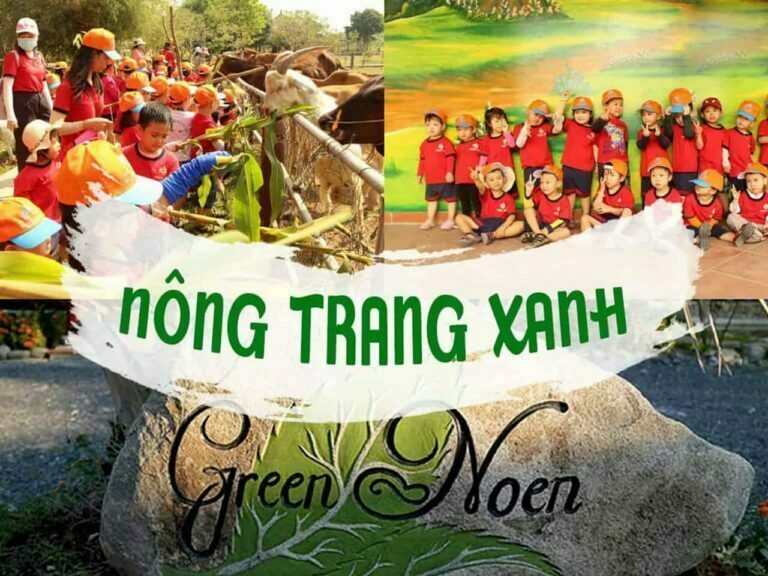 TOP 5+ hoạt động vui chơi tại Nông Trang Xanh Green Noen