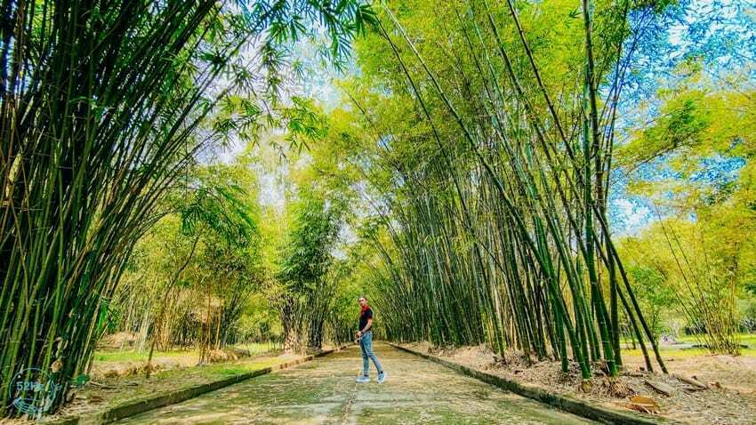 Làng sinh thái Tre việt Đồng Nai - Review Khu du lịch sinh thái gần Sài Gòn