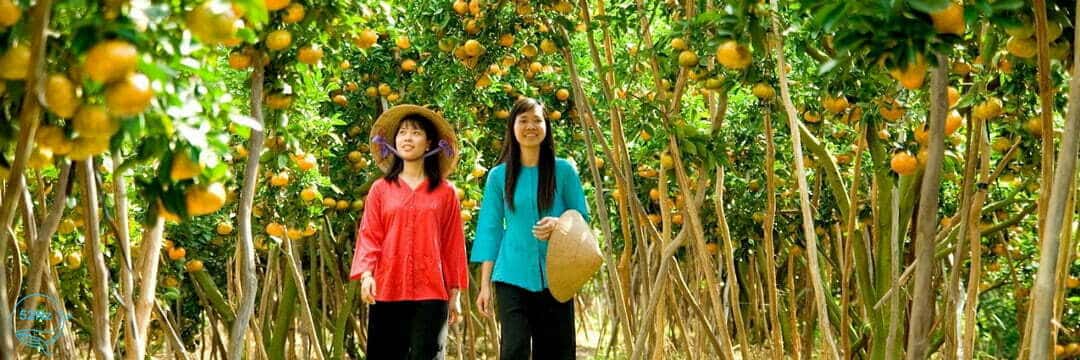 Du khách tham quan vườn trái cây Tây Ninh Út Phương