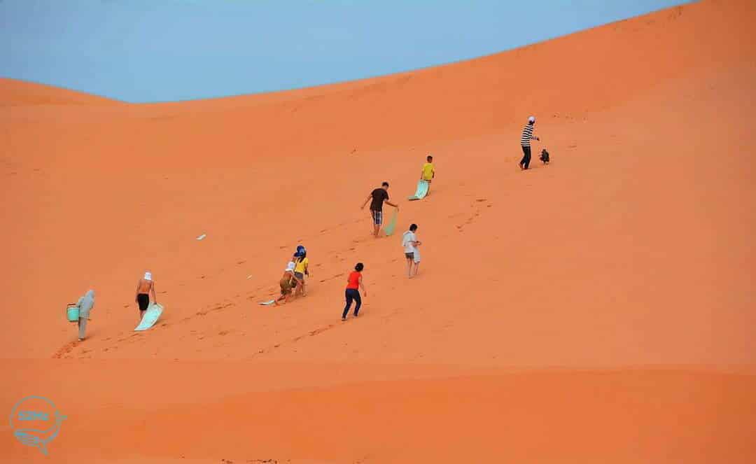 Đồi Cát Đỏ - Trải Nghiệm Mới Lạ Tựa Sa Mạc Giữa Mũi Né