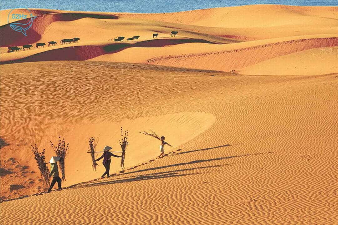 Độc đáo địa hình đồi cát tại Đồi Hồng Mũi Né