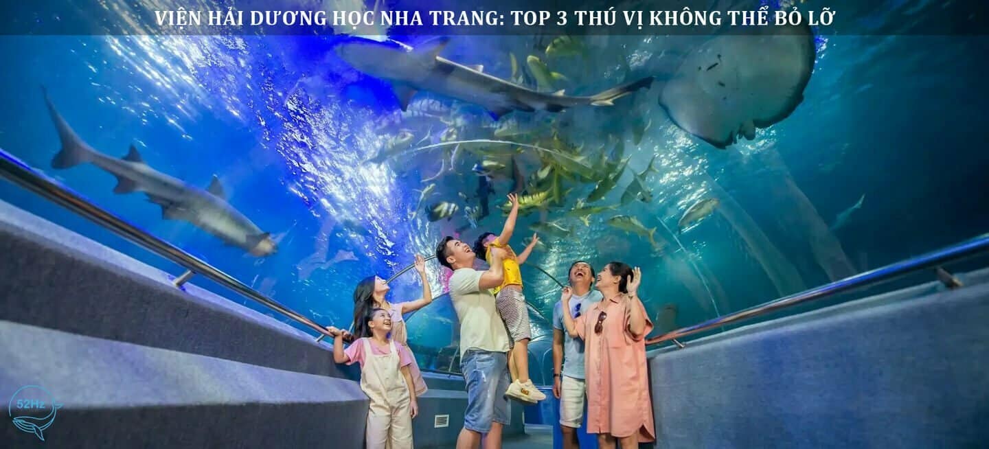 Top 3 hoạt động khám phá Viện hải dương học Nha Trang