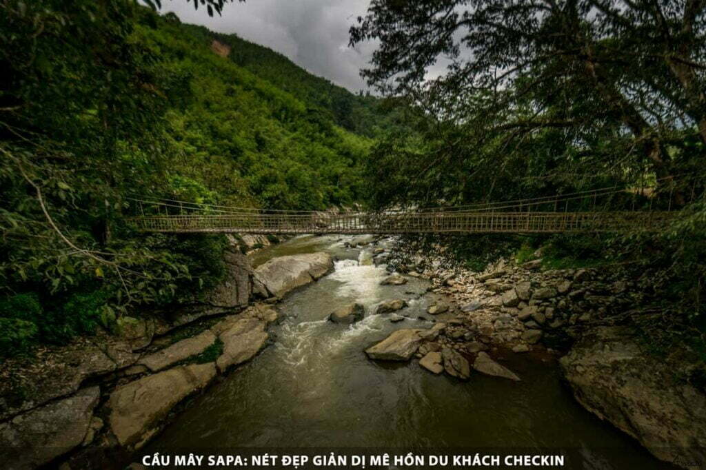 Cầu Mây Sapa - Nét Đẹp Giản Dị Mê Hồn Du Khách
