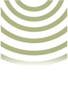 Icon Dokho 6 4ro
