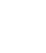 Icon 4ro Chuabaogom2